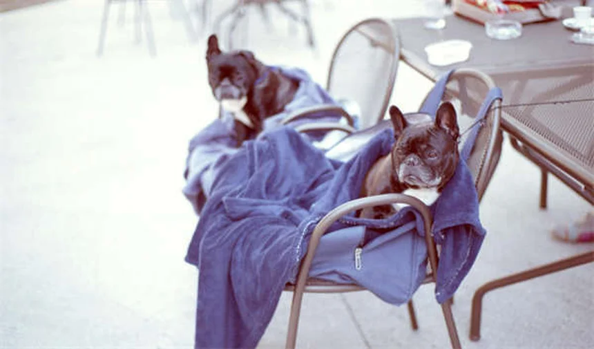 2027 Rivian R2T: First Look at the Midsize Electric Pickup